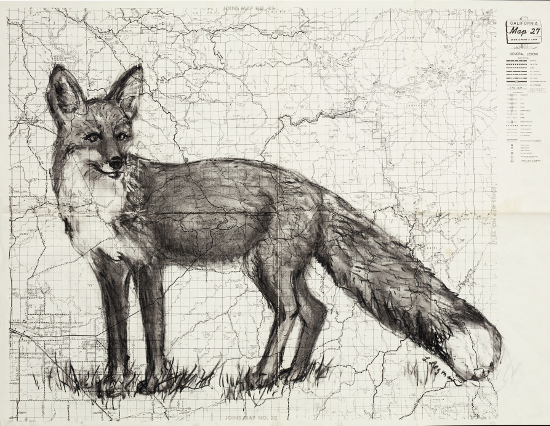 Yosemite Gray Fox