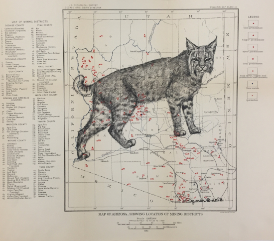 Arizona Bobcat