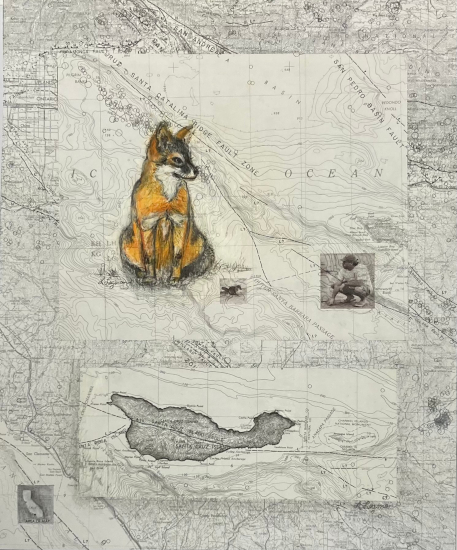 John Knapp and the Santa Cruz Island Fox