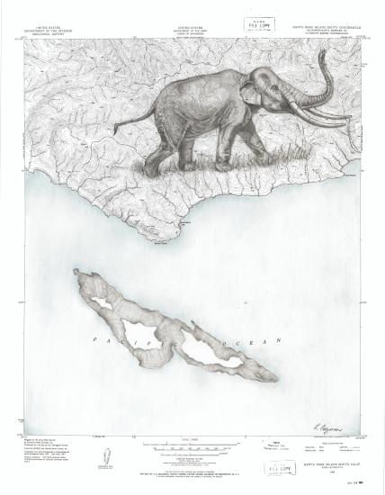 Pygmy Mammoth