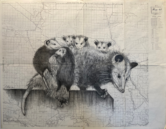 Montecito Marsupials