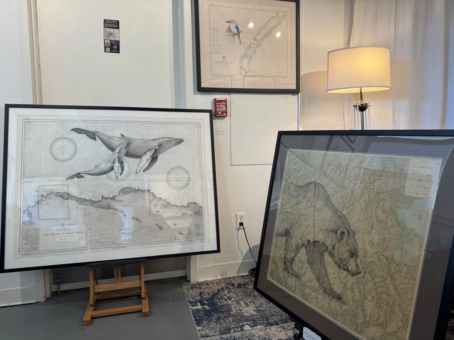 Her works concentrate on the Channel Islands as well
            as endangered and endemic animals
